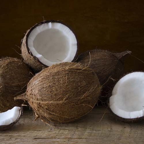 Fresh Coconut 1P