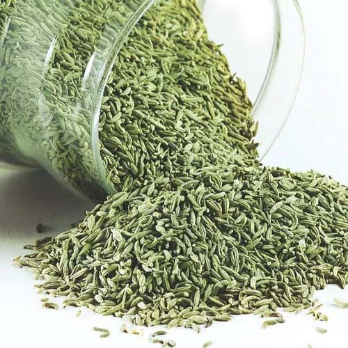 Sweet Fennel